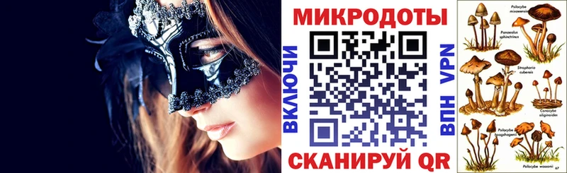 Псилоцибиновые грибы Magic Shrooms  купить наркоту  Новосокольники 